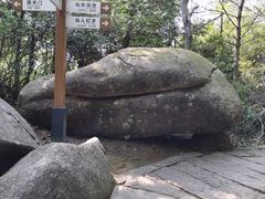 -玉苍山国家森林公园