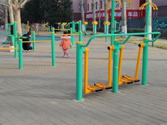 -莲花池公园