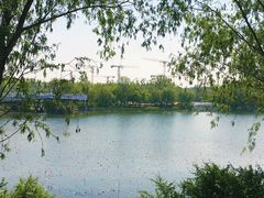 -大兴滨河森林公园