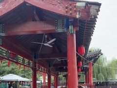 -尚庄度假村·庭台树下·户外烧烤·团建CS·轰趴营地(上庄水库店)