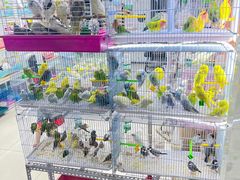 -三旗百汇商品城