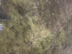 -光头佬钓虾场·烧烤·聚餐·亲子(金沙洲店)