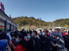-千年银杏谷文化旅游区