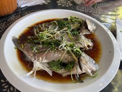-古道惠风饭庄