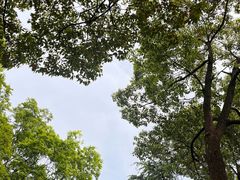 -佛手湖郊野公园