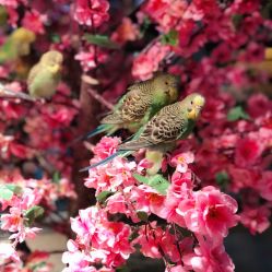 -酷嗒动物文化乐园(cutezoo西溪乐天城店)