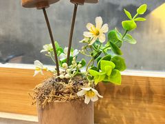 -友名Cross日式咖喱屋(江南大道中店)