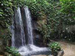 -南山植物园