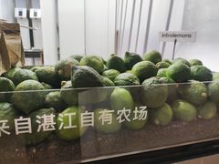 -introlemons(北京西单更新场店)