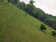 -艾溪湖湿地公园