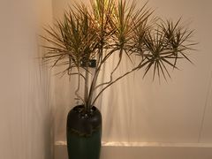 -慕远SPA•疗愈•精油(湾悦城店)