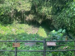 -海口火山口国家地质公园
