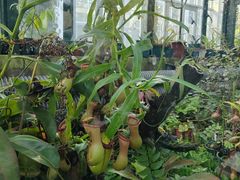 -国家植物园南园