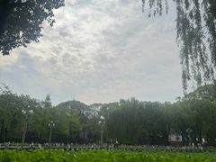 -四川大学(望江校区)