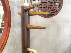 -温鉴良实用咏春拳