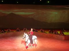 -cavalia·舞马
