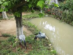 -西霞口神雕山野生动物世界