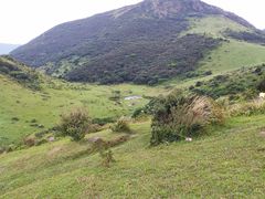 -大姆山草场