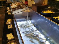 自助取餐区-博林天瑞喜来登酒店·西丽尚膳