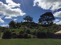 Hobbiton&nbsp;Movie&nbsp;Set&nbsp;Tours-霍比特人村