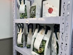 -树夏(鹭洲里店)