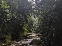 -赤水丹霞旅游区·佛光岩