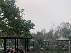 -成飞公园