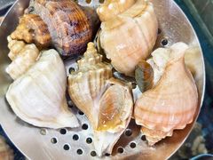 -粤盛海鲜平价店(洛溪食街店)