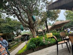 -苏记溪河鲢鱼庄(天府新区店)