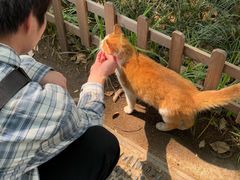 -西园寺素食(西园弄戒幢律寺店)