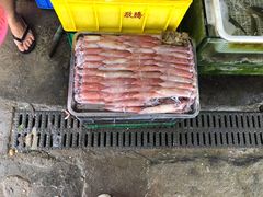 新鲜鱿鱼-红月湾海鲜饭店•沙滩海景(双月湾店)