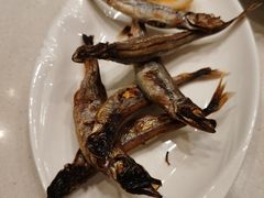 盐烧多春鱼-新一番三文鱼寿司(大东海店)