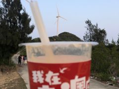 -南澳岛打卡果汁冰公司