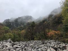 -陕西省红河谷森林公园