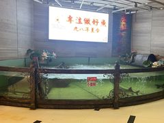 -楚鱼王·河鲜·湖北菜(华农店)