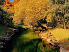 -上海共青森林公园