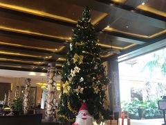 -三亚湾红树林度假世界(木棉酒店)