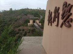 -五龙城郊森林公园