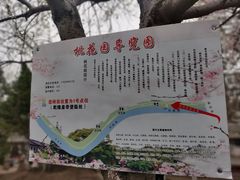 -桃花堤公园