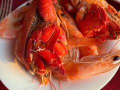 -视界美食自助餐厅·石家庄希尔顿酒店