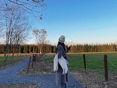 -汉长安城未央宫国家考古遗址公园