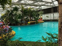 -南宫五洲植物乐园