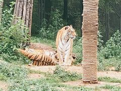 -大连森林动物园