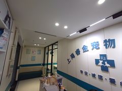 -睿金宠物医院·CT·肿瘤·骨外科
