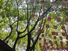 -广州长隆飞鸟乐园