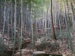 -敬亭山风景名胜区