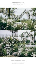 -CHOCO-启蔻婚礼(三亚公司)