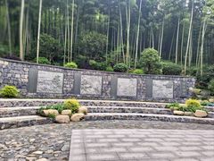 -东明山森林公园