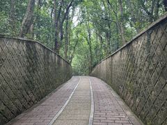 -之江大学-旧址