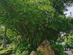 -晓港公园
